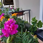 Casa Gina Appartement *